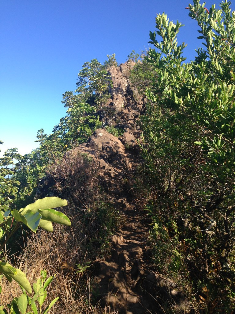 The ridge hikes are some of the ridgiest