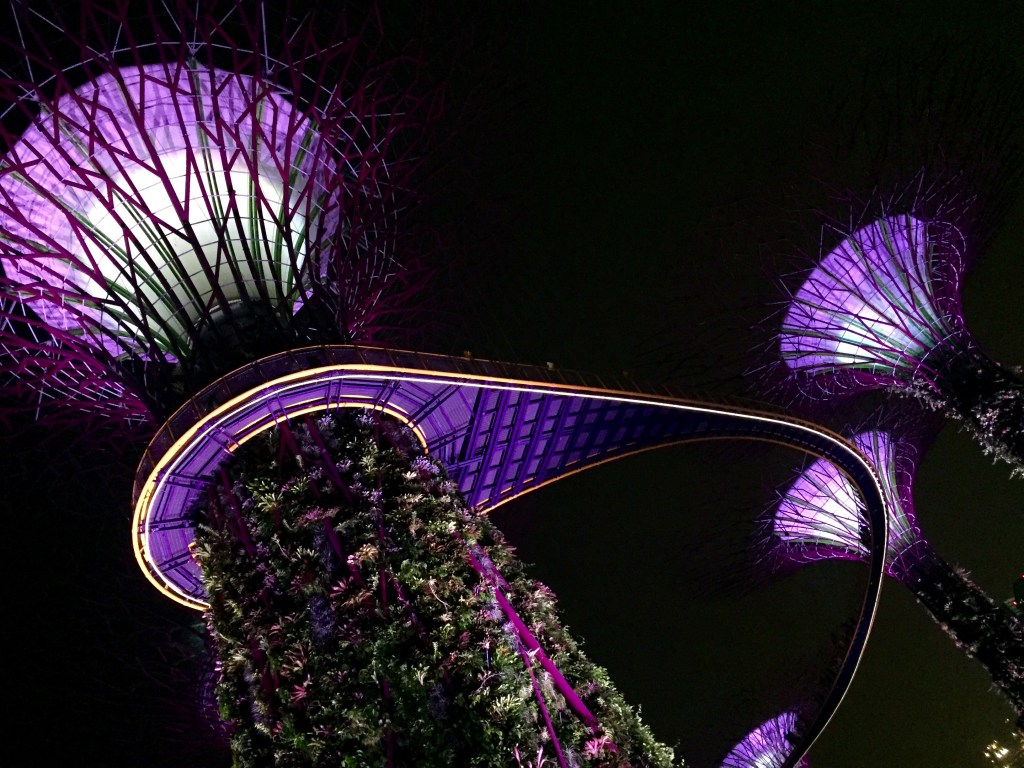 Also located at Marina Bay are the iconic (and really damn cool) Marina Bay Sands hotel (top 3 photos) and the Supertree Grove. There were maybe 10 "trees" total, and that is in fact a ramp connecting a number of them. Also, the big surf board (or big fish as Singaporeans call it) is surfaced with yet another botanical garden.